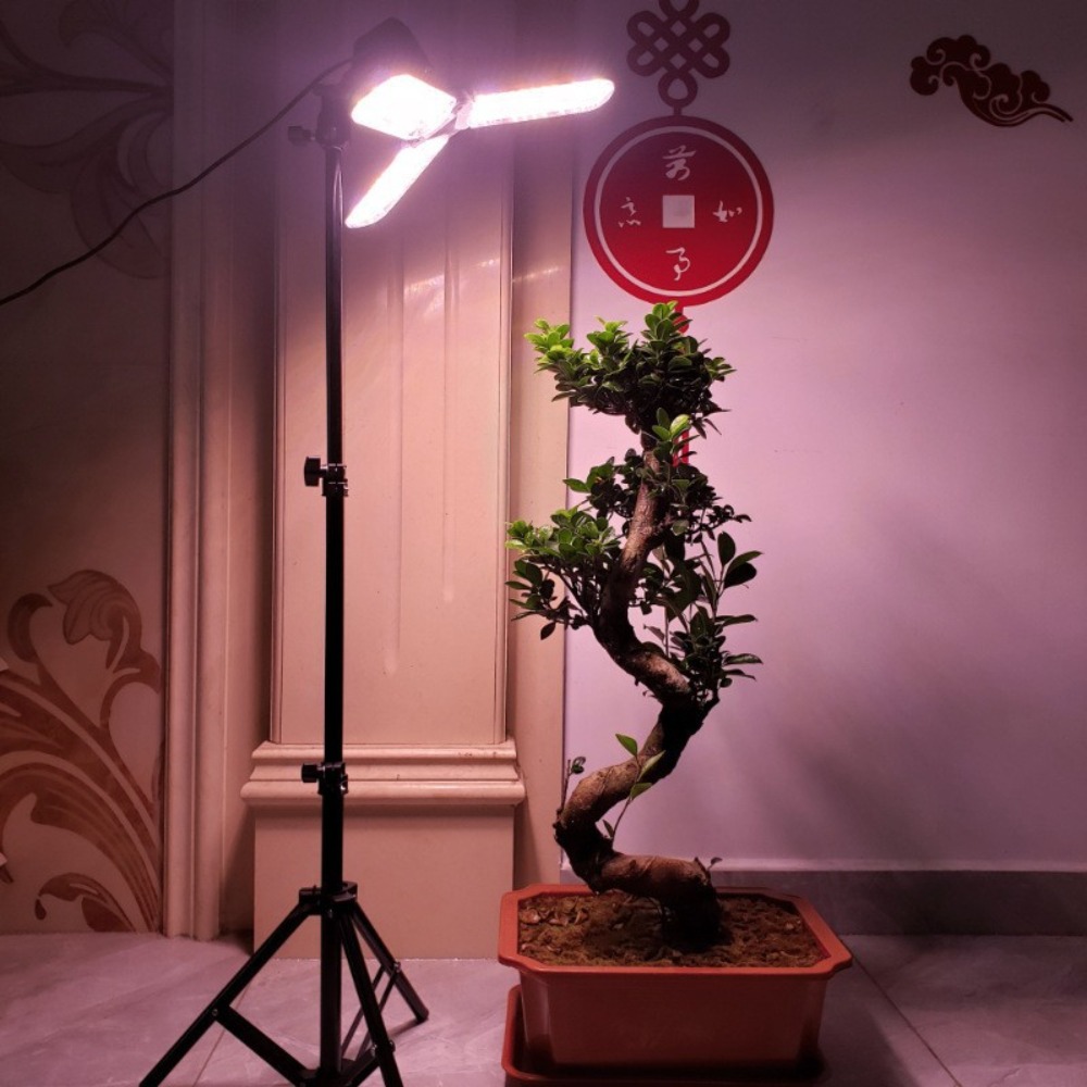 Light Bulb Stand 2M, E27 AC So - đánh giá và giá Lighting In Photography Studio