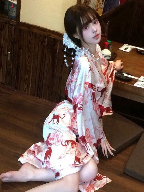 New Chinese Style Sleepwear Ha - đánh giá và giá Lighting In Photography Studio